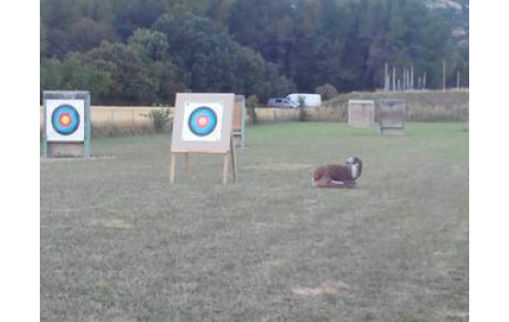 Déplacement du lieu d'entrainement